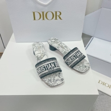 Christian Dior Slippers